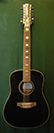eko 12 string