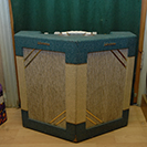 Watkins Dominator amp